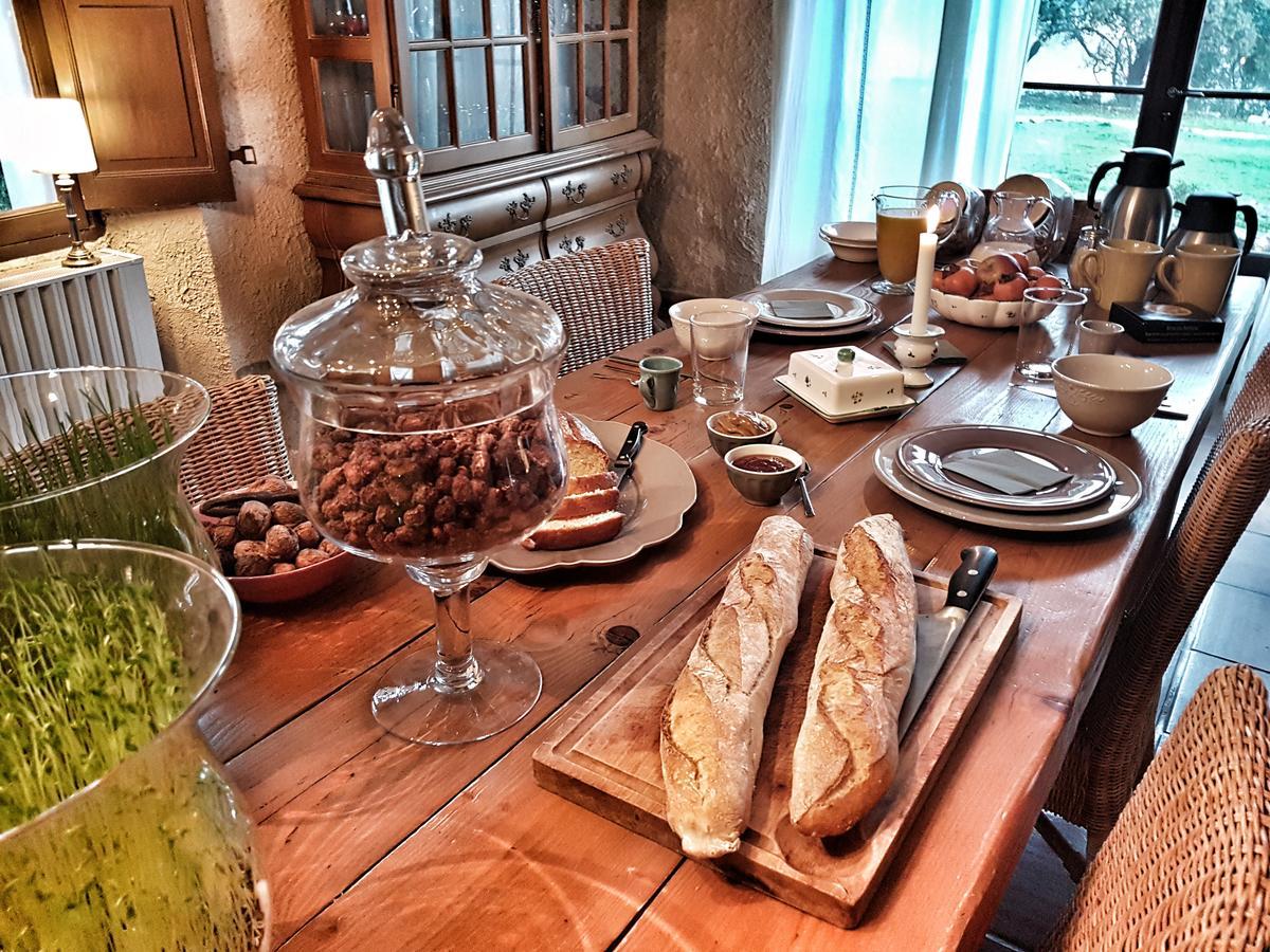 Le Domaine Saint Martin Bed and Breakfast Flassans-sur-Issole Εξωτερικό φωτογραφία
