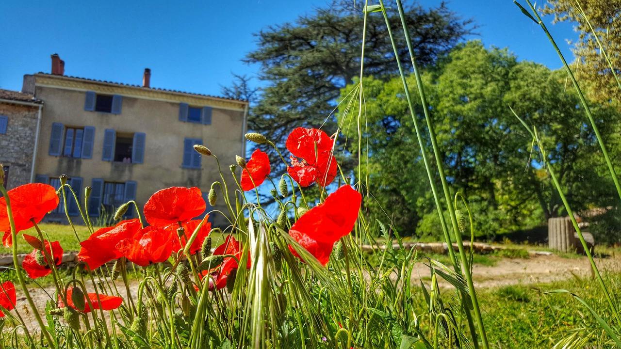 Le Domaine Saint Martin Bed and Breakfast Flassans-sur-Issole Εξωτερικό φωτογραφία